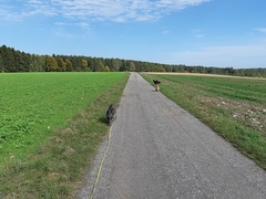 Im Herbst 2019 (7)